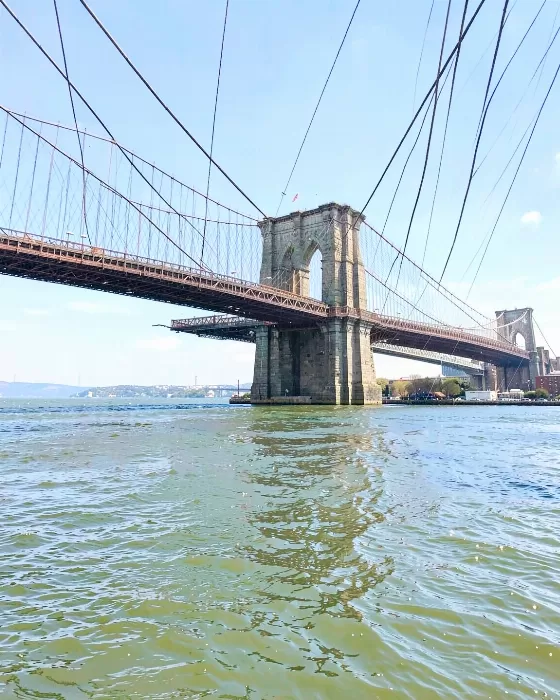 Brooklyn Shore