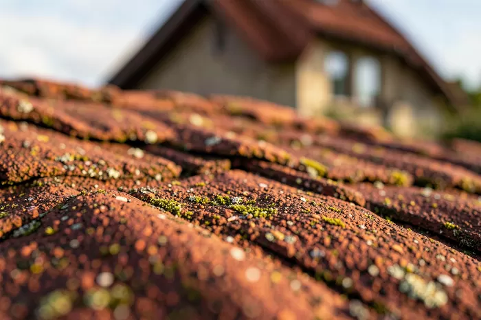 Roofscape