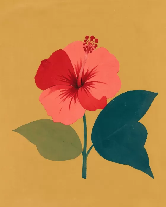 Hibiscus Field