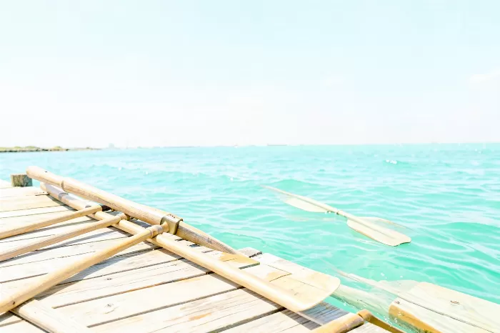 Dock Oars