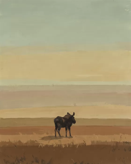 Still Moose
