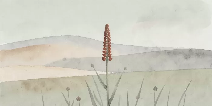 Neutral Wildflower