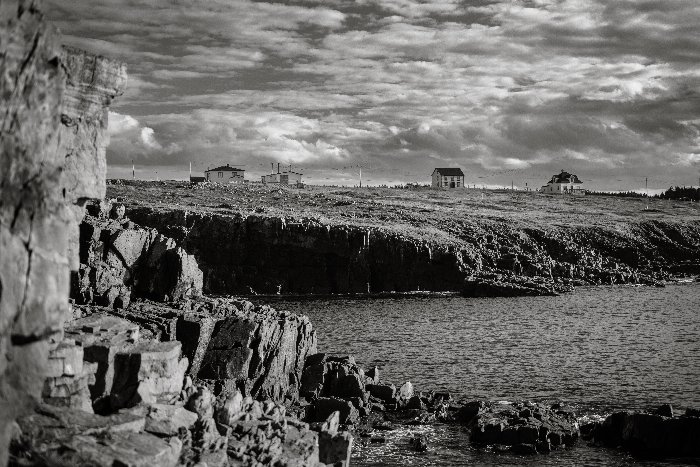 Elliston Town - Newfoundland art print