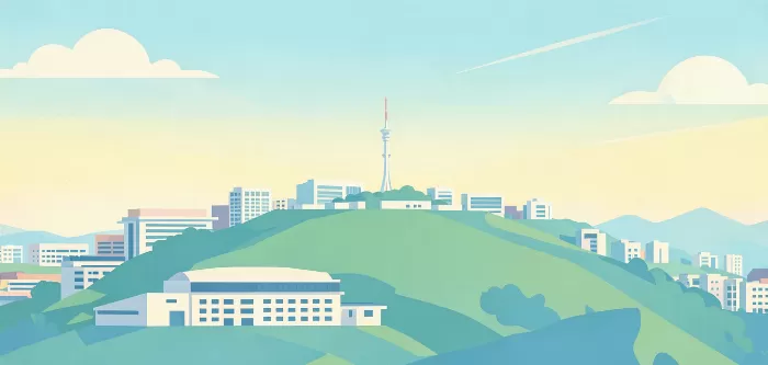 Namsan Panorama