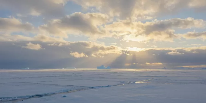 Arctic Light