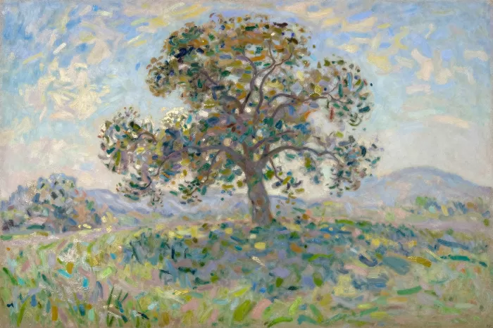 Sunlit Oak