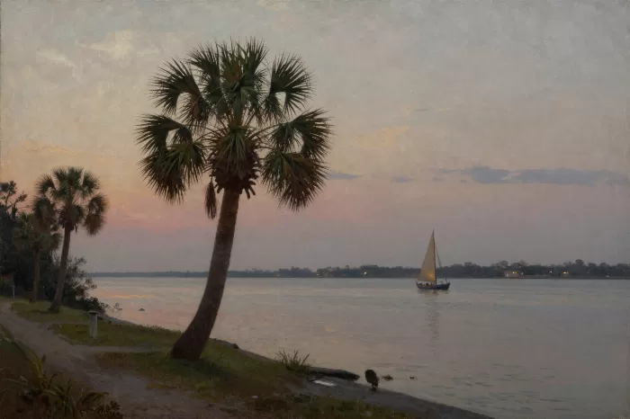 Palmetto Light