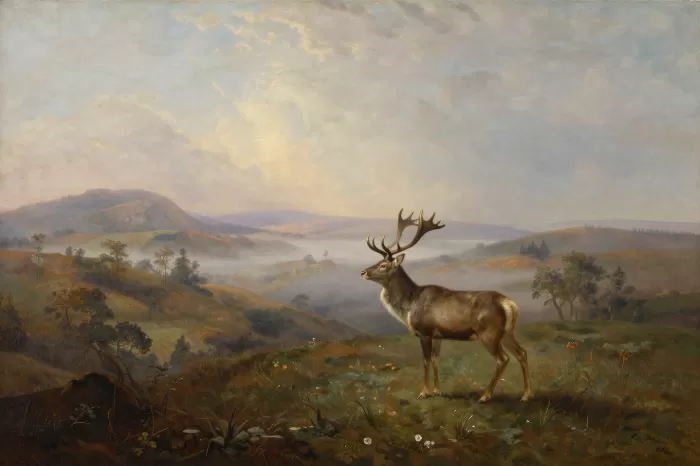 Highland Stag
