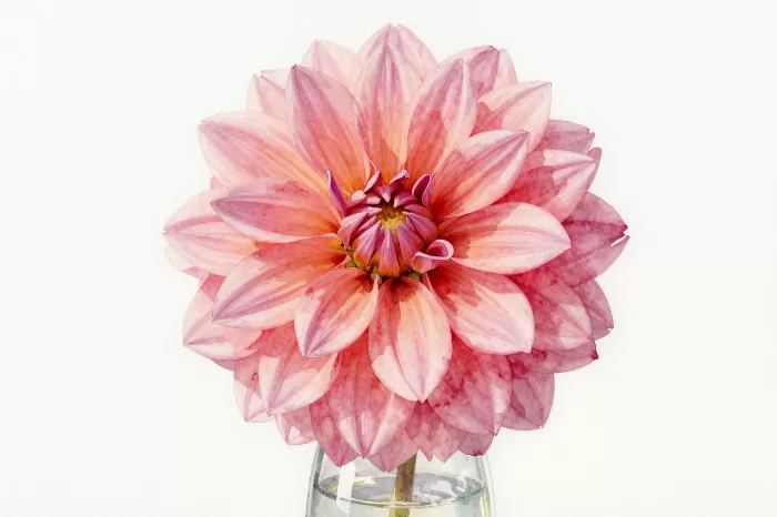 Glass Vase