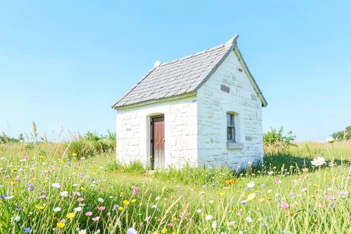 Chapel Wildflowers
