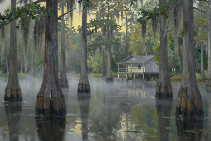 Swamp Morning