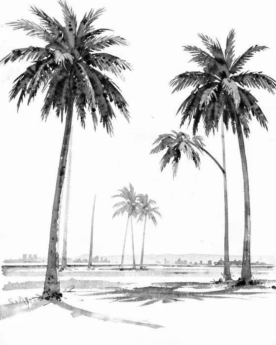 Palm Calm
