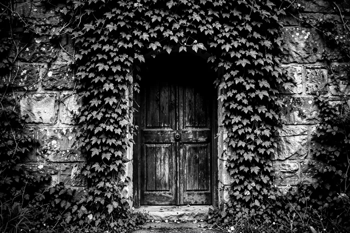Ivy Doorway