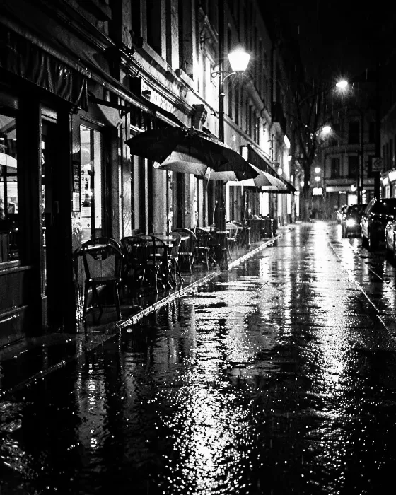 Rainy Reflections
