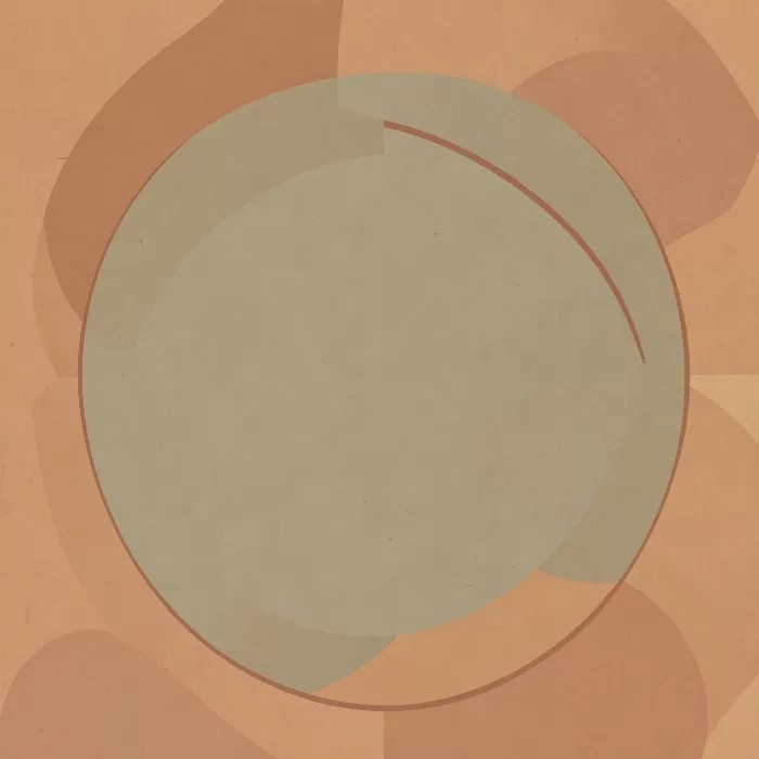 Sage Orbit