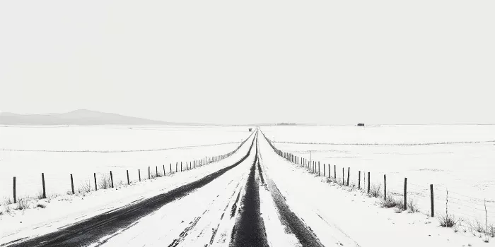 Still Crossing II