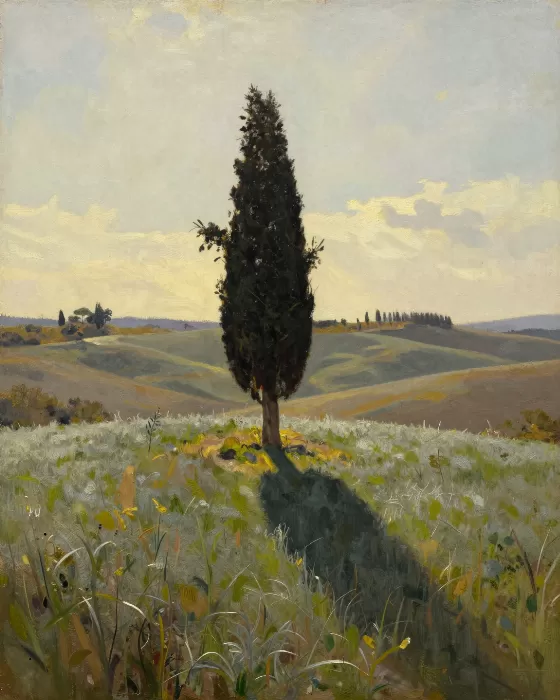 Sunlit Spire