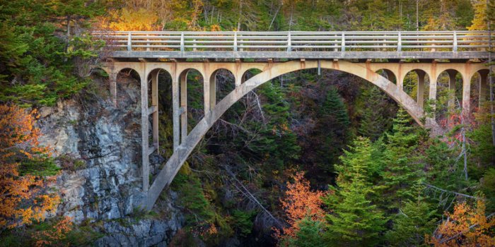 Over Under - Newfoundland art print