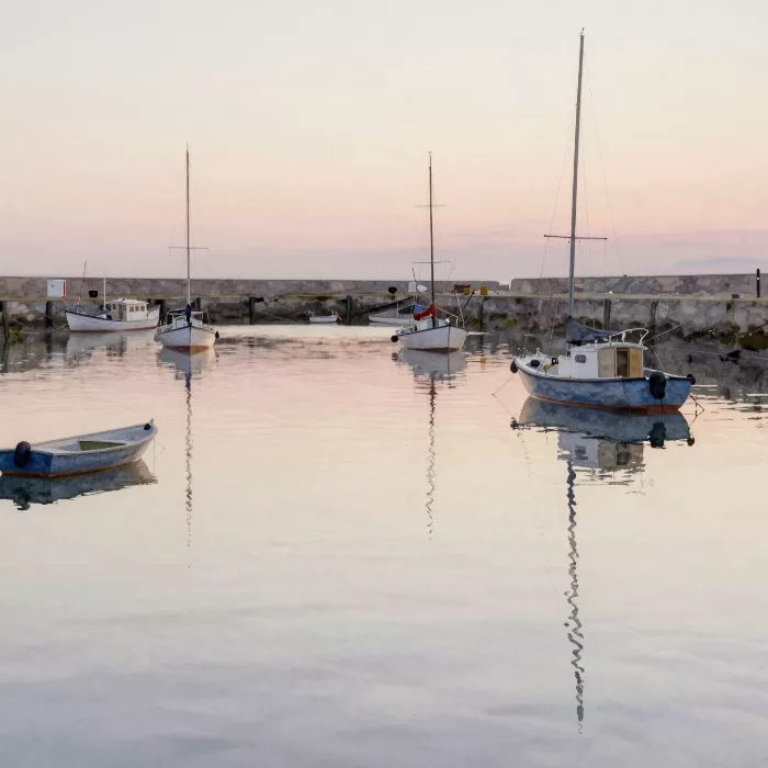 Blush Tide