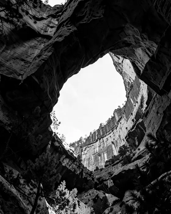 Shadowed Portal