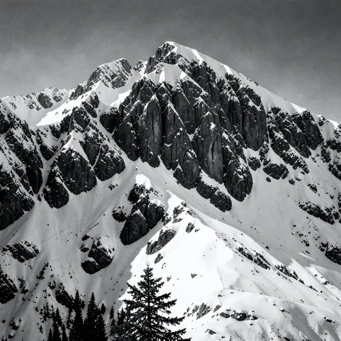Winter Wall