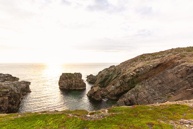 Bonavista Cliffs Full Blown - Newfoundland art print