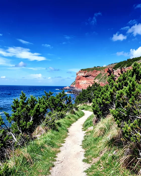 Cliffside Trail