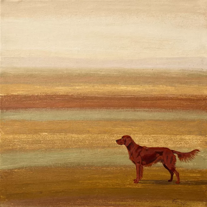 Field Setter