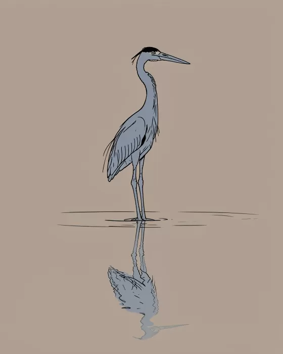 Grey Morning
