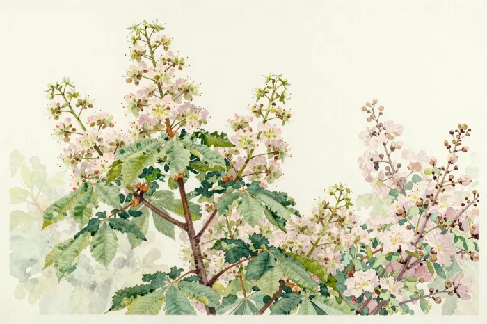 Luxembourg Blossom
