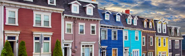 Jellybean 2 - Newfoundland art print