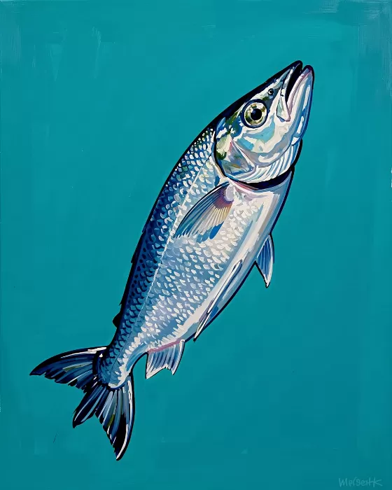 Rising Cod