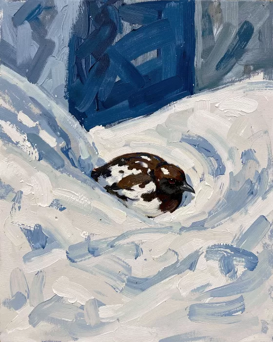 Winter Gaze