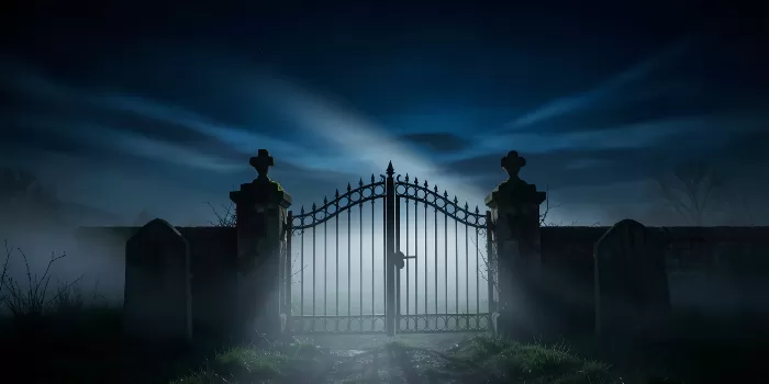Veiled Gate