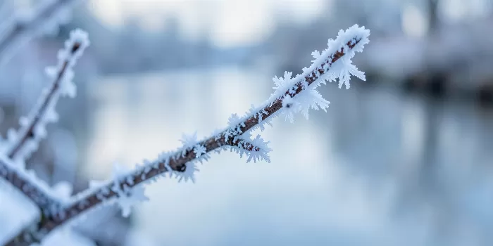 Canal Frost