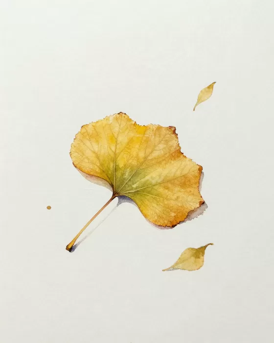 Aspen Fall