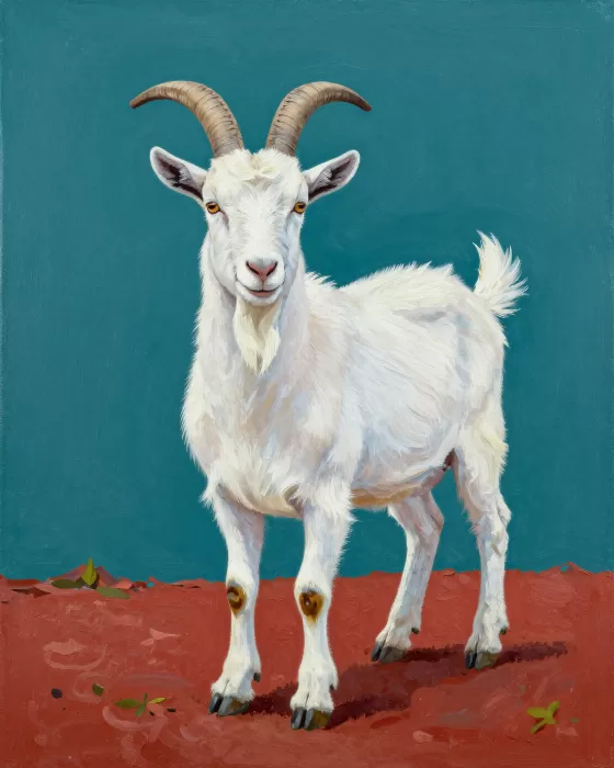 Teal Goat