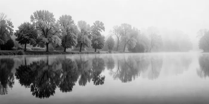 Fogged Reflections