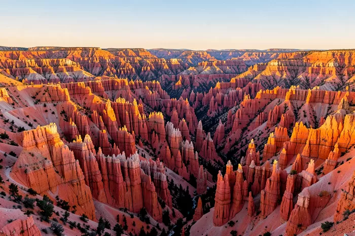Golden Pinnacles