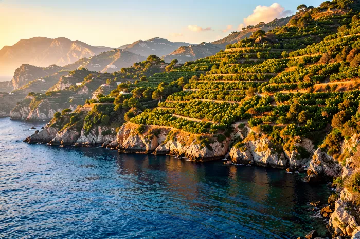 Amalfi Gold