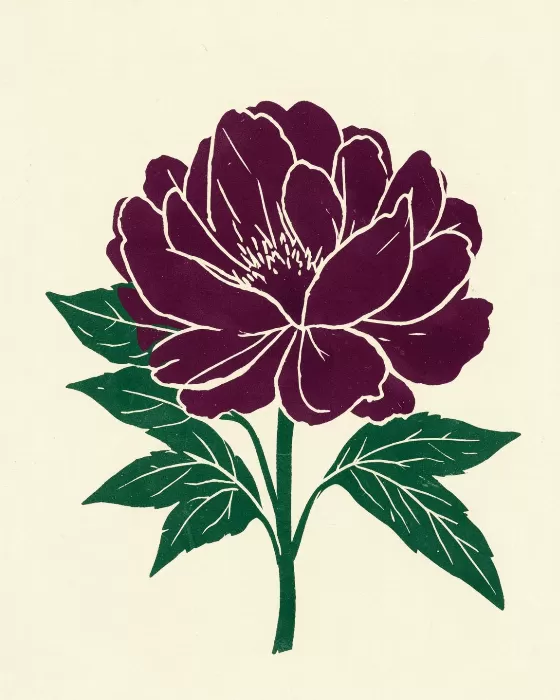 Plum Peony