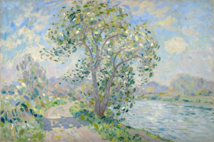 River Poplar