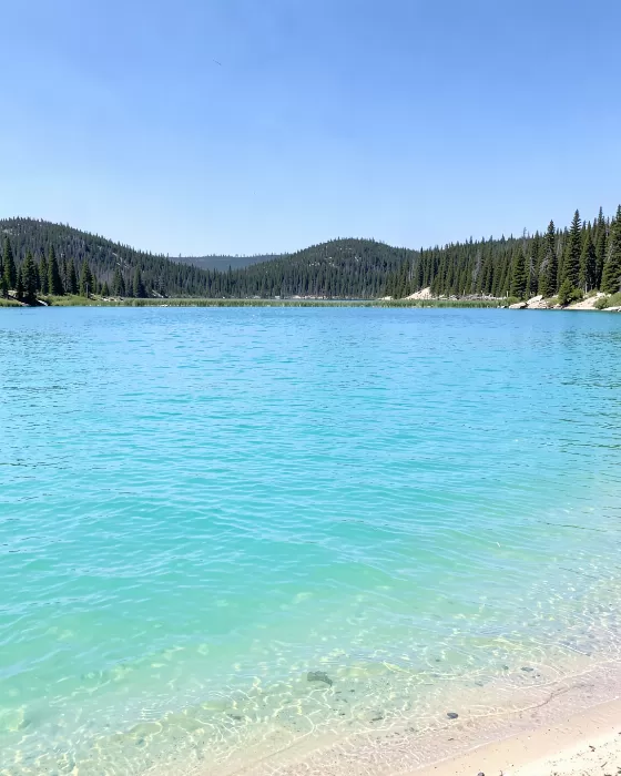 Yellowstone Shores