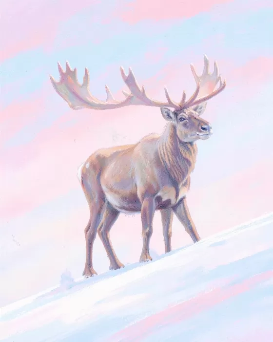 Pastel Caribou