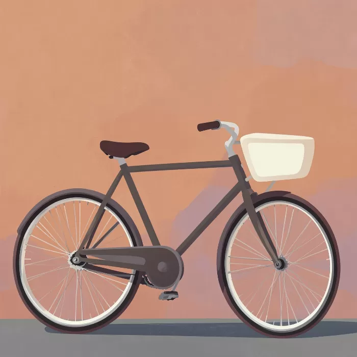 Streamlined Bicycle
