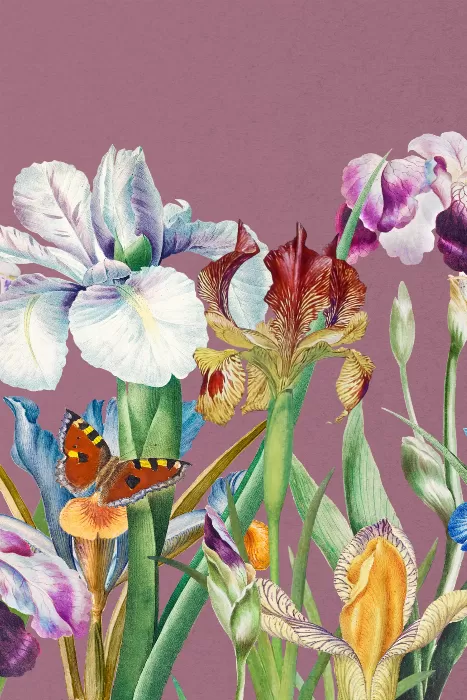 Beautiful iris flowers