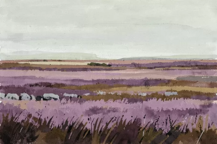 Heather Horizon