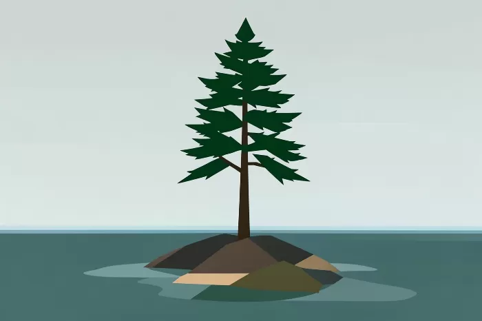 Pine Isle