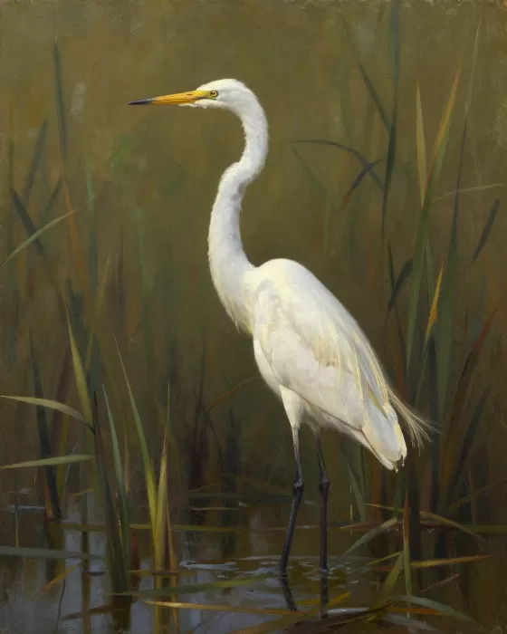 Egret's Light