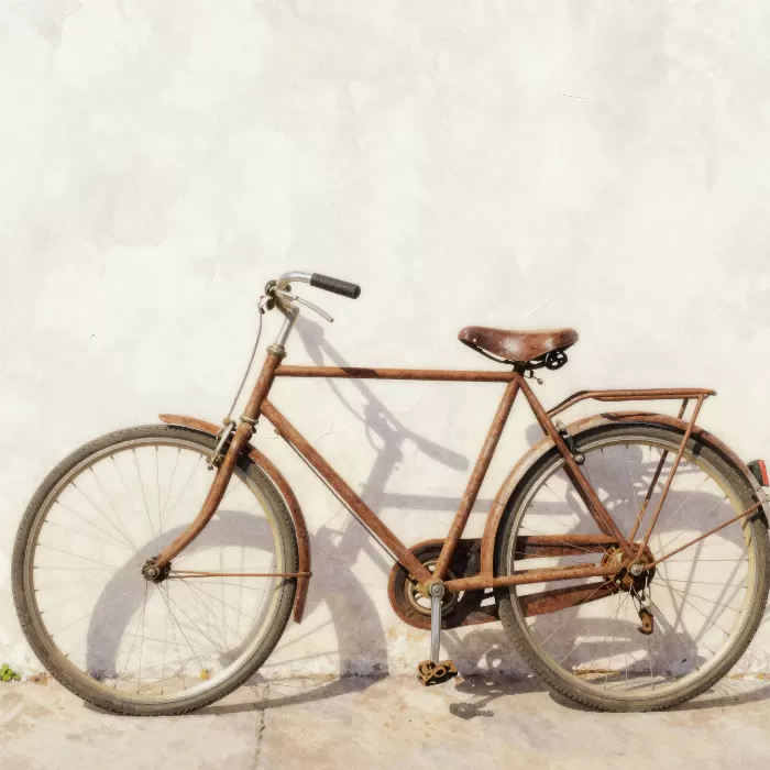 Rusty Bicycle
